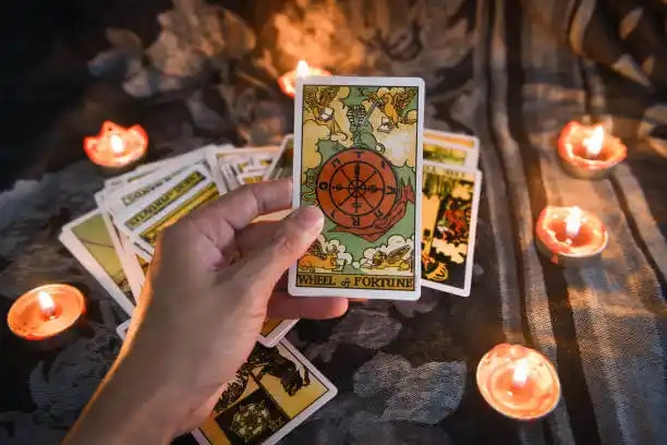 tarot cards Sterling Heights